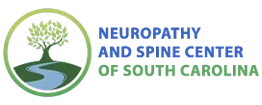 The Neuropathy and Spine Center of South Carolina website blue logo
